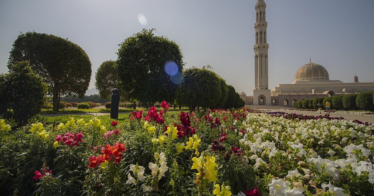 الحد الأدنى للأجور في عُمان 2026: قانون العمل وحقوق الأجانب