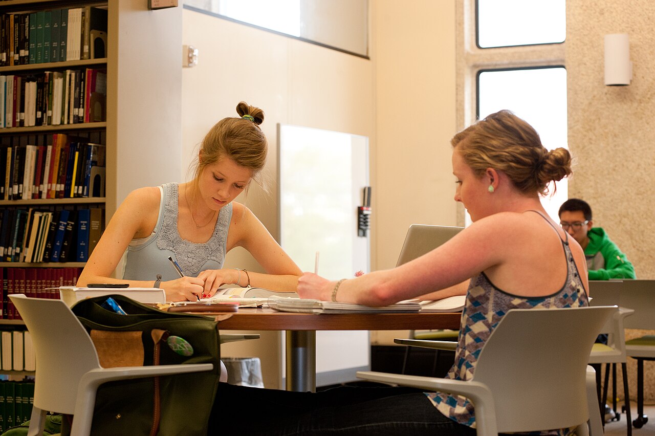 Students study together in a university library