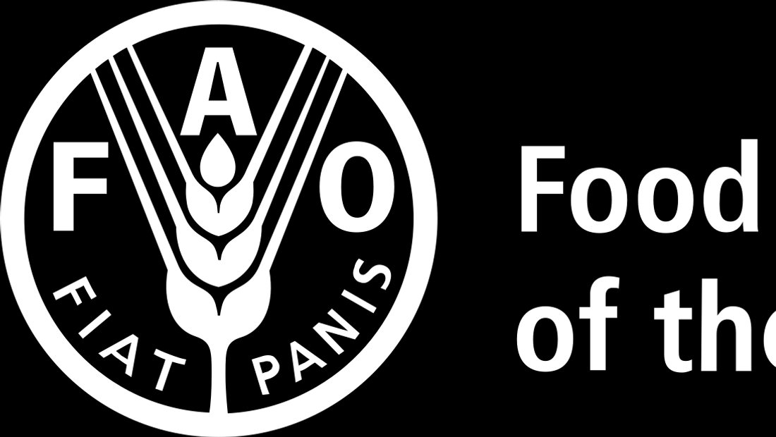 شباب يستخدمون موارد أكاديمية FAO للتعلم الإلكتروني
