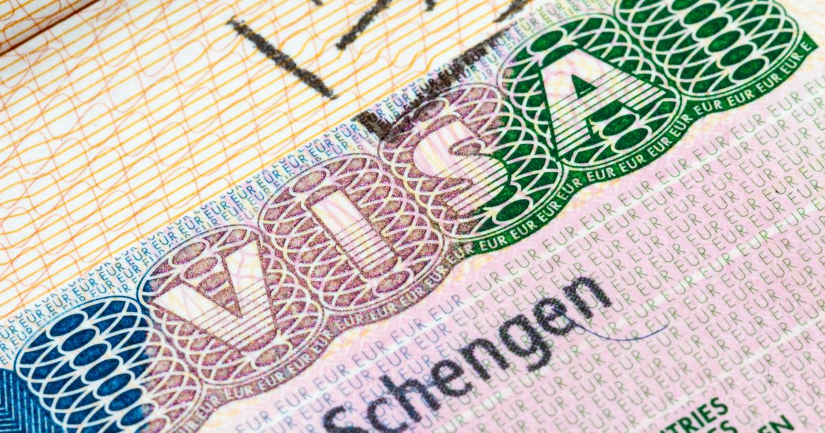 إحصاءات المفوضية الأوروبية الرسمية إنفوغراف رسمي بإحصاءات تأشيرات شنغن لعام 2025 من المفوضية الأوروبية