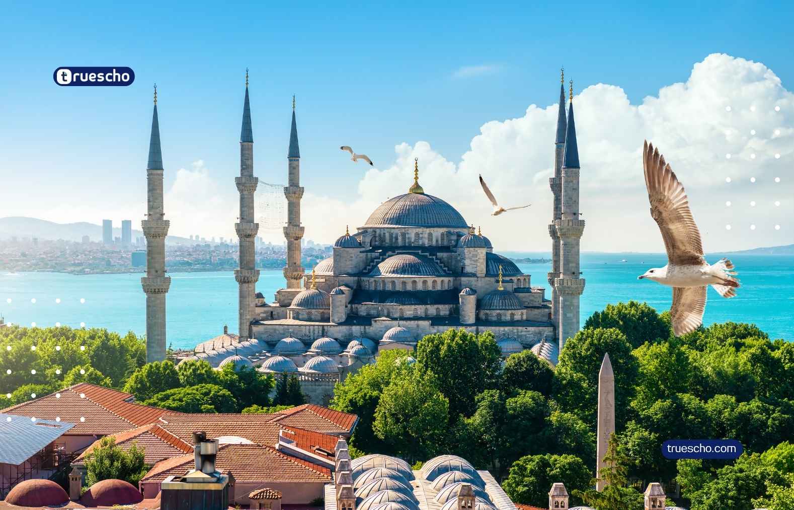 السكن الطلابي في تركيا: أفضل الخيارات والأسعار ونصائح قبل الحجز
