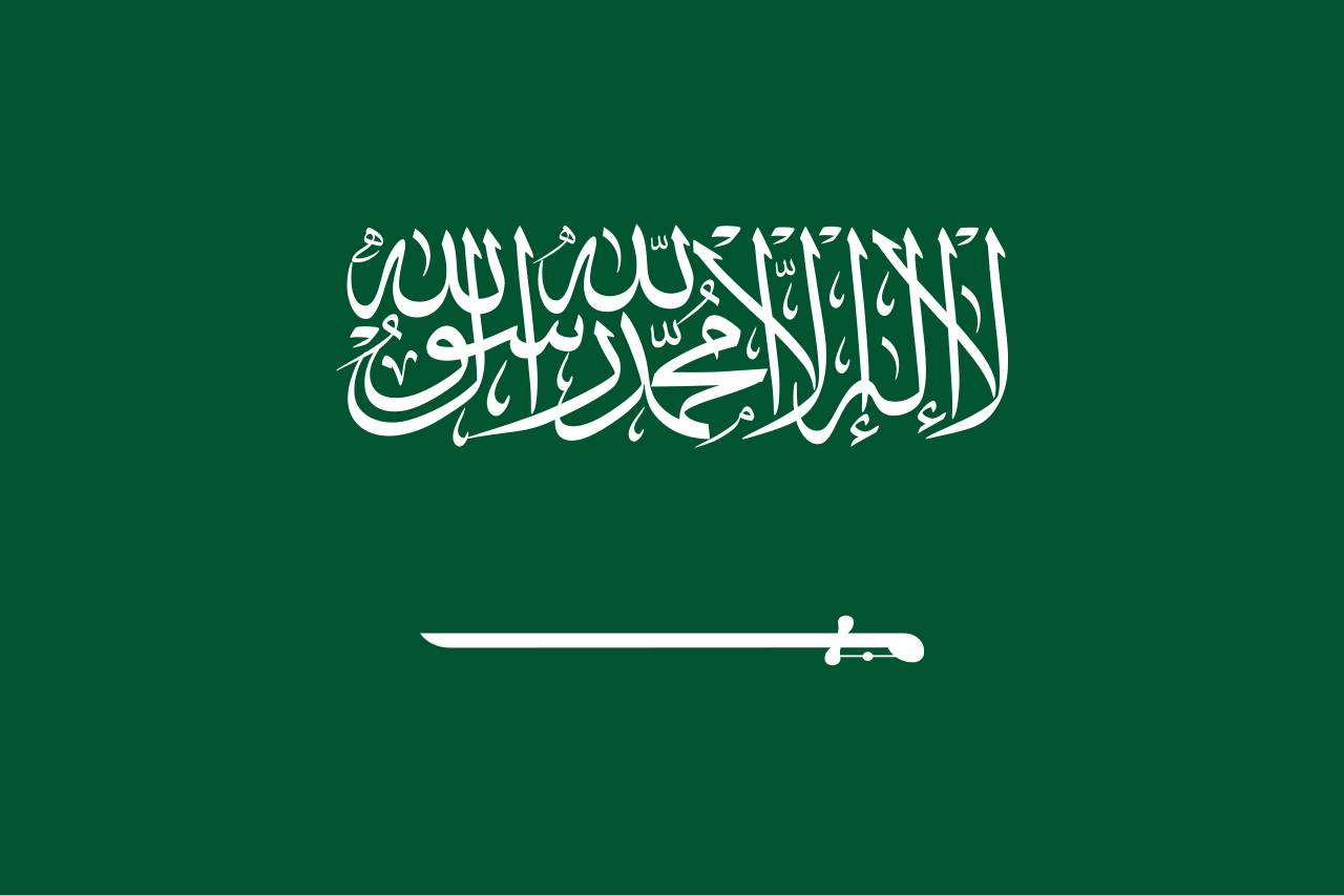  صورة رسمية للعلم السعودي وخدمات التأمين 