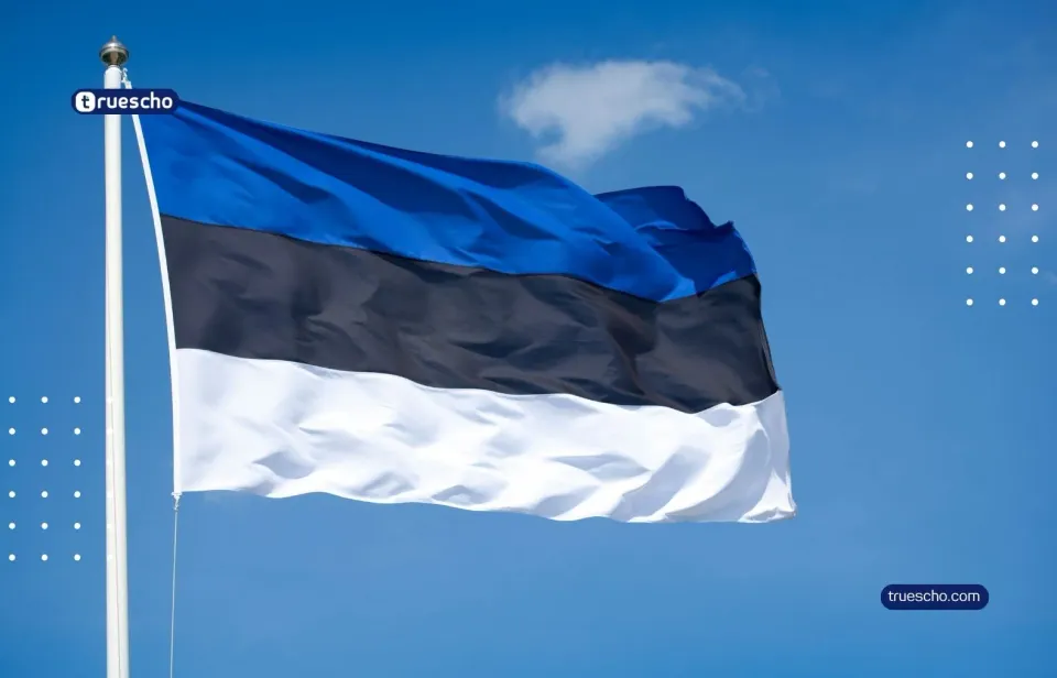 Studying in Estonia for Arab Students 2026